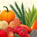 Icône représentant des fruits et légumes de saison pour les ateliers thématiques